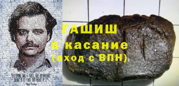 гашик Козловка