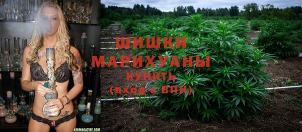 spice Козельск