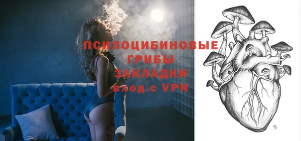 гашик Козловка