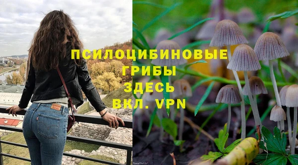 spice Козельск