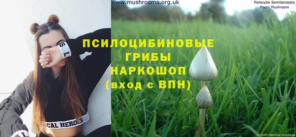 СК Новосибирск