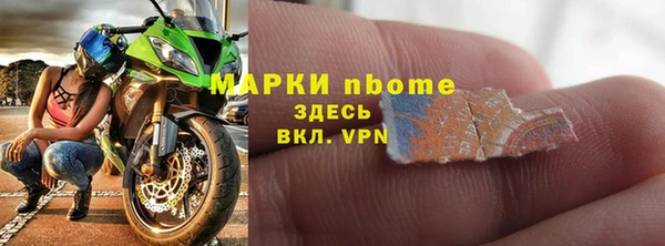 гашик Козловка